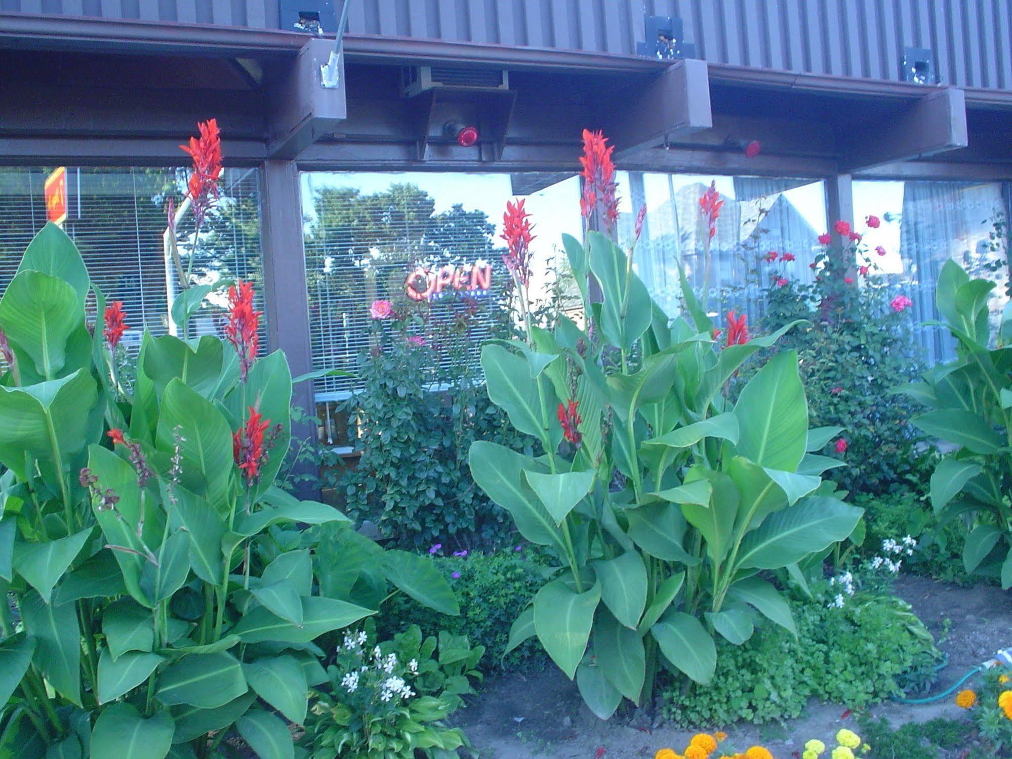 Advance Inn Niagara Falls Exterior photo